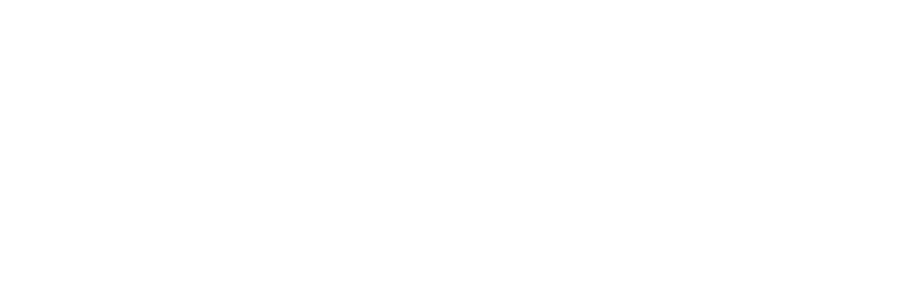 shenzhou logo